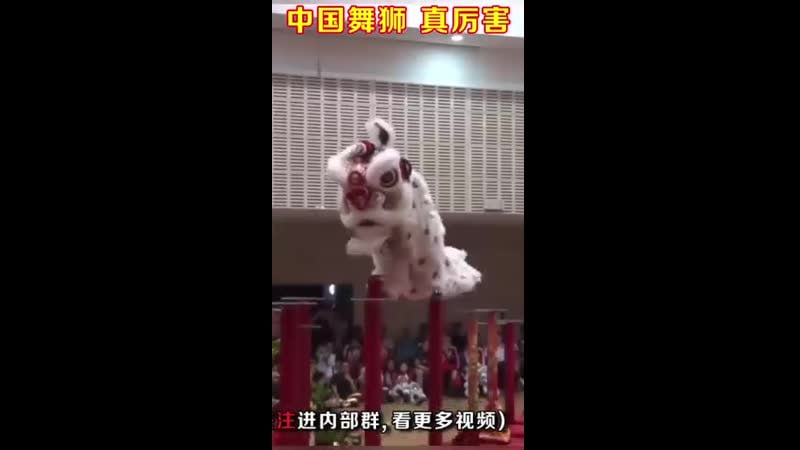 Китайский дракон