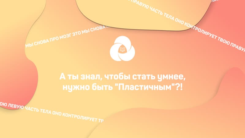 Разминаем полушария | полезная разминка с еленой столбовой