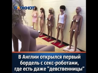 Бордель с секс роботами