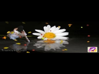 Alex leger feat ange ~ love me deep inside (ilya soloviev radio mix)