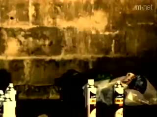 검은 고양이 (the black cat) 터보 (turbo)