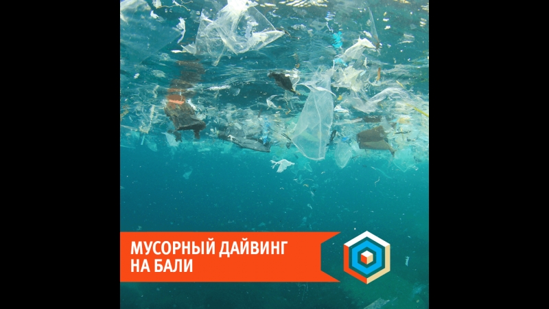 Мусорный дайвинг на бали