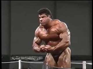 Lou ferrigno 1993 bodybuilding