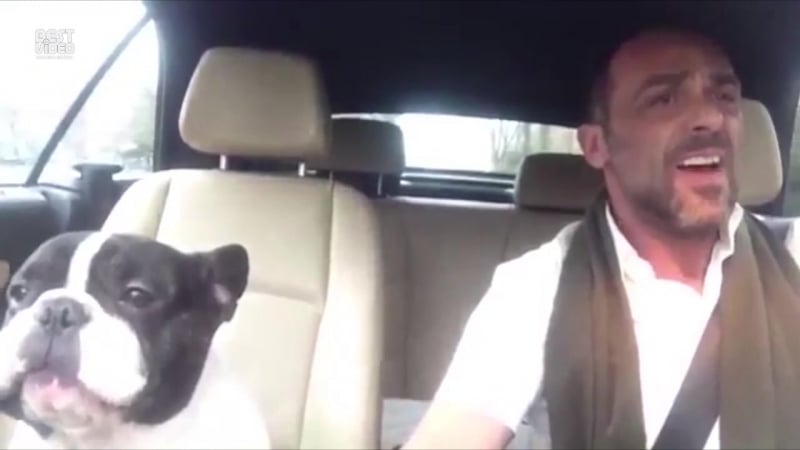 Душевно подпевает!