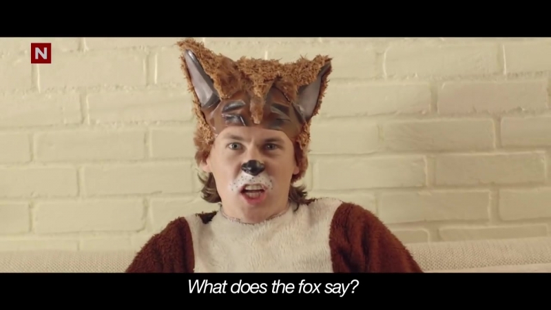 Ylvis the fox