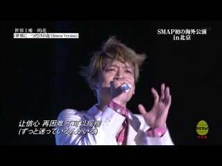 [cs] sekai ni hitotsu dake no hana (chinese)