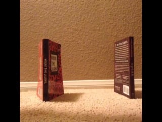 Wrecking ball kitten addition #mileycyrus #wreckingball #remake no cats were harmed in the making of this vine