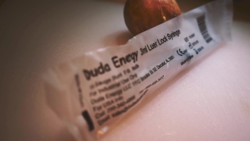 Avocado in vitro fertilization