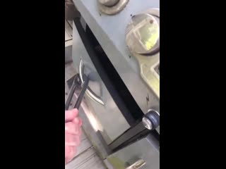 Possum living in grill had babies