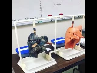 А ты курильщик?