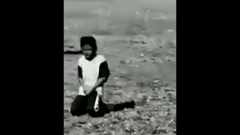 Минус яйки [рофлы и панчи]