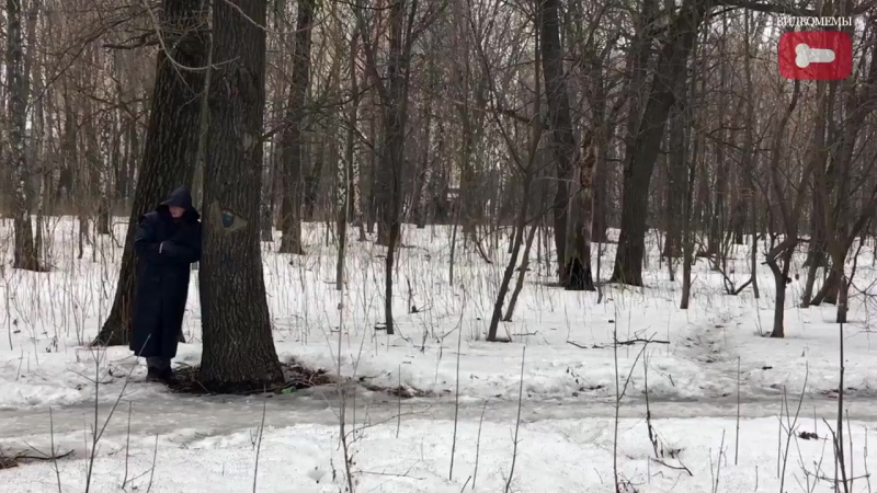 Опасность porn video – В лесу поджидает опасность © видеожесть
