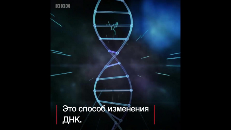 Насколько porn video – Редактировать днк насколько это этично?