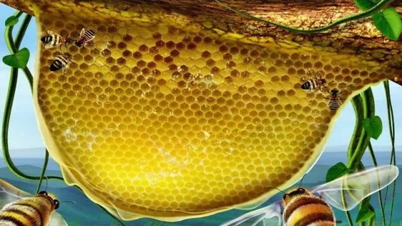 Сотовая земля #1 { live } в эфире котляров, soulgoodman и illuminati insider