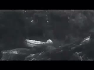 Мы русские! (сцена из к/ф «солдат и слон»)