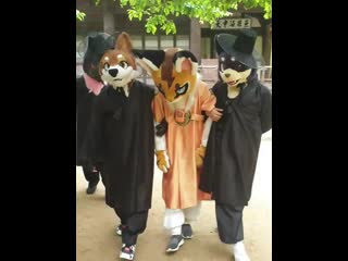 Кошка жена напилась и ее тащат домой | kemono porn