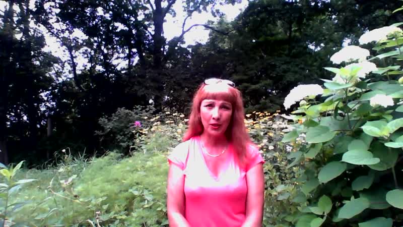 Почему я выбрала глобал шарк татьяна насонкина