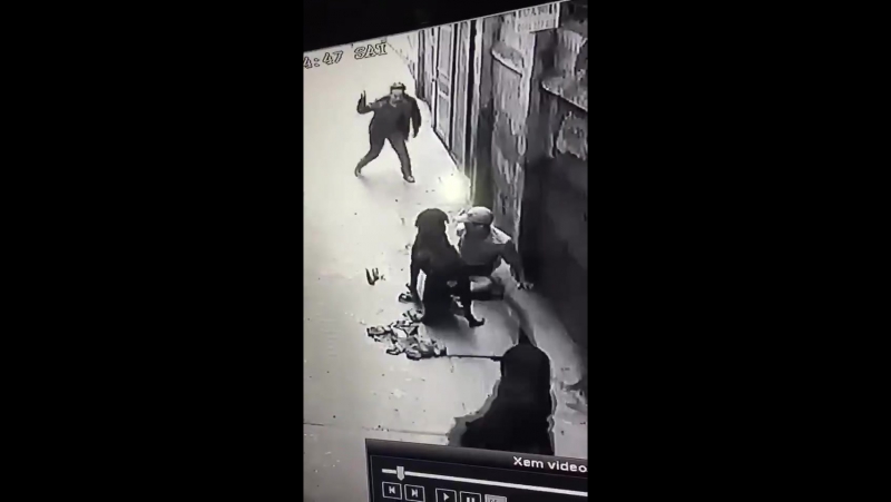 Молодые нападают на своего хозяина