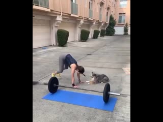 Тренироа с пёселем nhtybhjdrf c g`ctktv