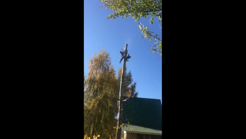 Спиливание, удаление деревьев, кустарника, расчистка участков, покос травы и вывоз любой сложности! 👍 ☎ 8 920 211 76 22