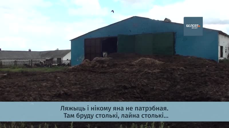 «дохнуць, таму што кармоў не кладуць, не пояць» у жлобінскім раёне масава паміраюць цяляты?