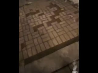 🌿 sleepy sky 🌿 | zxcursed x akumaqqe 🥰