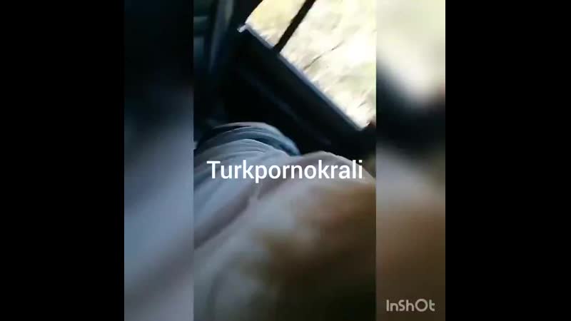 Türk arabada sakso