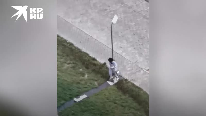 Видео из приморья сейчас там бушует тайфун и девушка попала под его удар