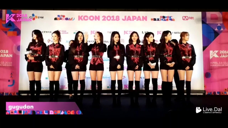 180413 kcon 2018 japan 레드카펫 구구단 cut