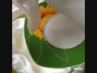 Домашний фета