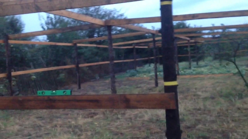 # моя тепличка / скоро накрывать плёнкой