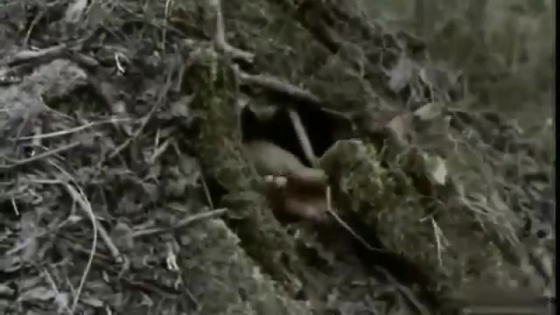 Отечественное снайперское оружие