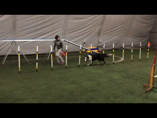 Боз и майо, тренироа