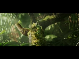 Berocca chameleon dancing to panjabi mc be more berocca ad berocca