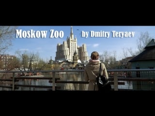 Moskow porn 2018 by dmitry teryaev