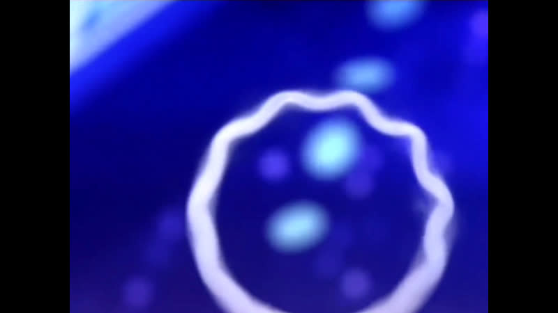 Американский негр покорил американских телезрителей возможностями своей носоглотки