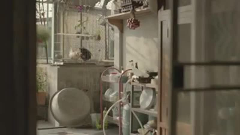 Верьте в доброту