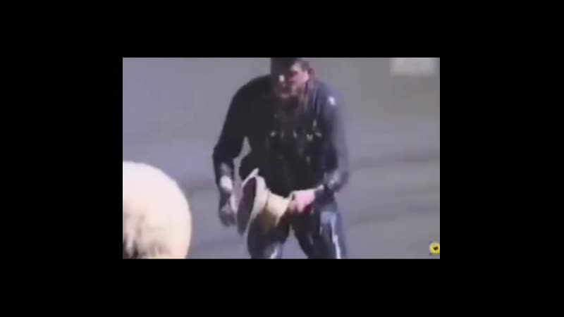 С тыла зашел