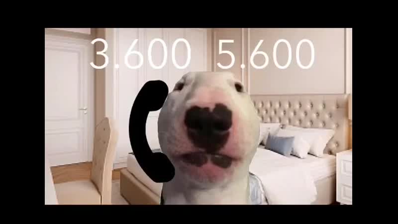 С какой стати ааааааааааа