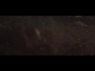 Shallows full rutlr1 640