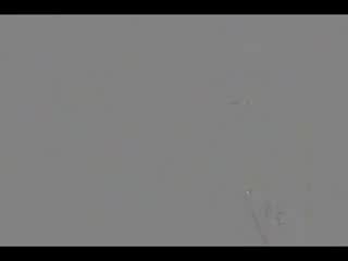 Garfunkel and oates sex with ducks (live)