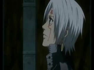 [d gray man] allen and lenalee desert rose