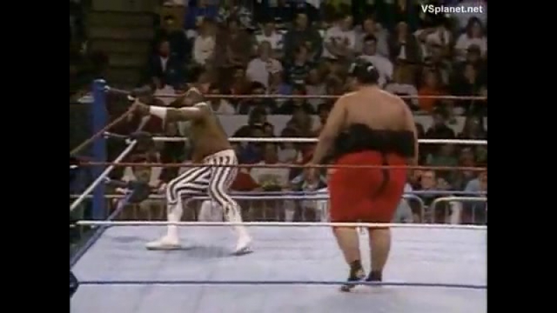1992 porn video – Wwf survivor series 1992