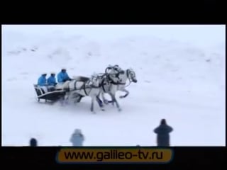 Галилео русская тройка