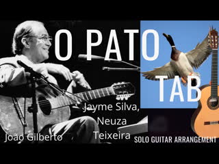 O pato (jayme silva & neuza teixeira) natalia kiselyova (solo guitar)