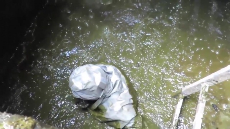 Ныряльщик в нечистоты согласились бы на такую работу