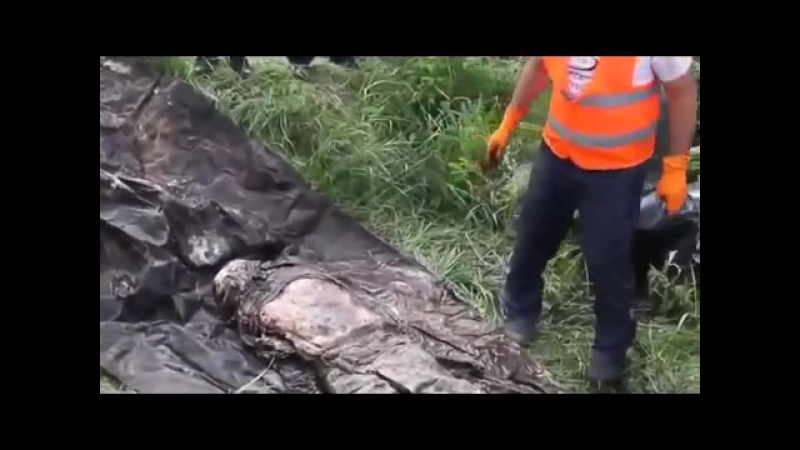 (18+) эксгумация тела украинского военного, похороненного в районе счастья (архив 2015г )