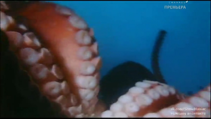 Оголтелая рыбалка 2 сезон 10 серия (гавайский фестиваль!)