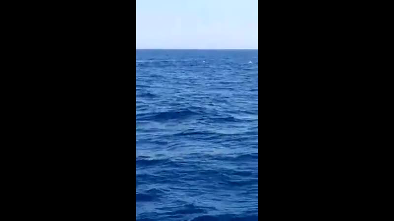 Большие миграции,///