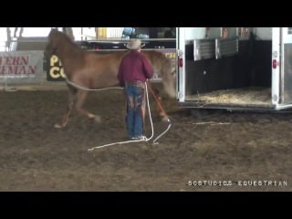 Parelli trailer loading clinic (full video)